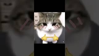 no robar vídeo el vídeo es mio #bailes #roblox #robloxedit