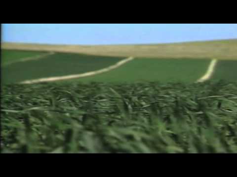 dakota meyer The Yellow and the Green