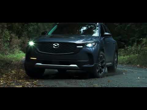 Introducing the First