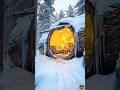 Frozen Jungle Tree House with Secret Warm Interior 🔥❄️