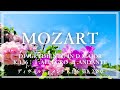【Mozart】Divertimento in D Major, K.136 :Ⅰ.Allegro Ⅱ.Andante / モーツァルト ディヴェルティメント K.136 第1, 2楽章