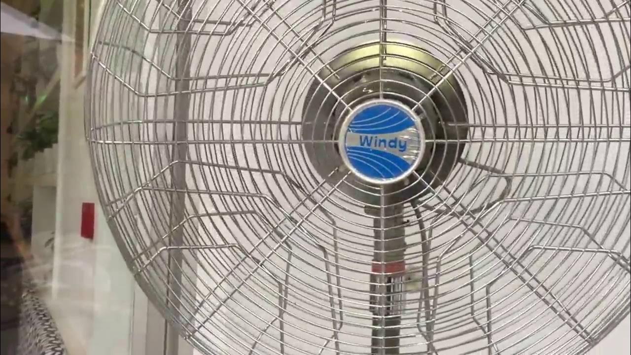 Windy brand, duty pedestal (stand) fans in the