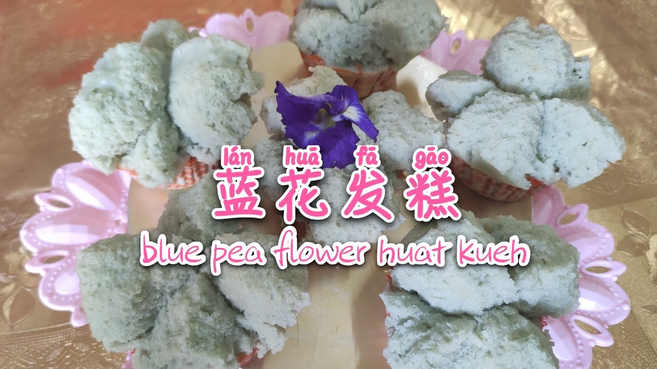 蓝花发糕丨blue pea flower huat kueh丨简易制作 YouTube