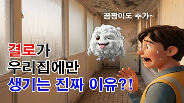 결로로 부터 우리집을 지키는방법?! / 원인부터 해결책까지!
