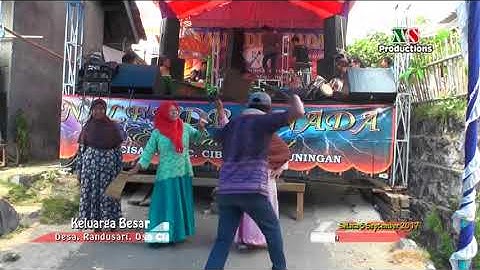 AYA-AYA WAE, TATALU DI JOGEDAN