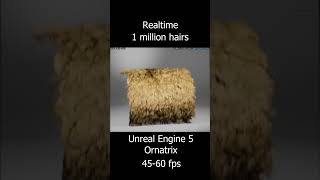 Can UE5 Handle 1 Million Hairs? Ornatrix Test