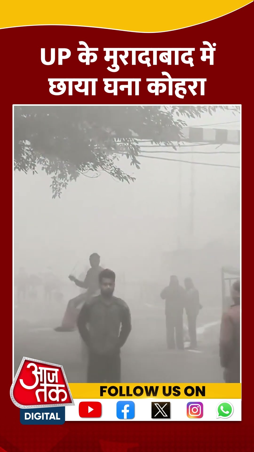 UP Weather: Moradabad में सुबह सुबह छाया घना कोहरा, विजिबिलिटी हुई कम | #shorts #shortvideo