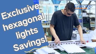 Unlock Huge Discounts on DIY Hexagon Garage Lights with Factory Direct Pricing!