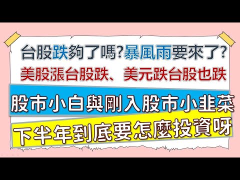 台股跌夠了嗎？要掀起暴風雨了嗎？股市小白和小韭菜們下半年投資要怎麼辦呀？！~CC中文字幕幕