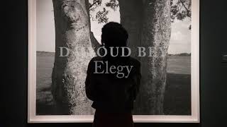 Dawoud Bey: Elegy | The Visitor Experience