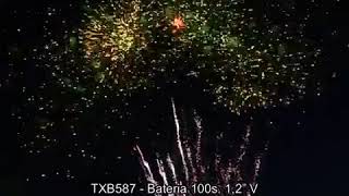 TXB587