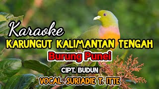 KARAOKE KARUNGUT CENTRAL KALIMANTAN 