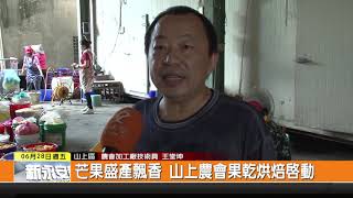 1080628新永安新聞-芒果盛產飄香 山上農會果乾烘焙啟動