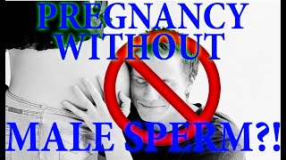 Pregnant Without A Male Partner | Female Sperm by INFORmaFACTS 339 views 3 years ago 7 minutes, 23 seconds