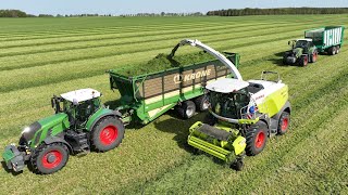 Grasernte 2024 häckseln mit Claas Jaguar - Traktoren fahren Gülle, grubbern, pflügen Landwirtschaft