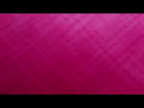歌ってみた          プロミスザスター/BiSH