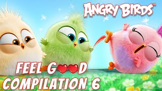 Angry Birds | Hatchlings' Best Moments