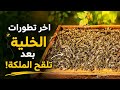 اخر تطورات الملكة الملقحه بعد اسبوعين على تلقحها  نجومي