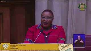 EFF CCT member and MP Mmabatho Mokause in the NCOP Plenary.