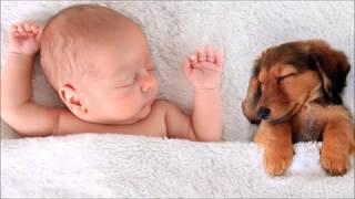 Lazy Sunday Romancenicoline Van Goor