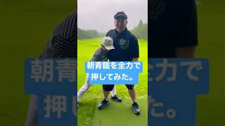 朝青龍に挑んでみた。 #Shorts