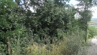 S4450003 (sátoraljaújhelyi 4k videó snittek darabja, későbbi vágáshoz 2026.07.08.)