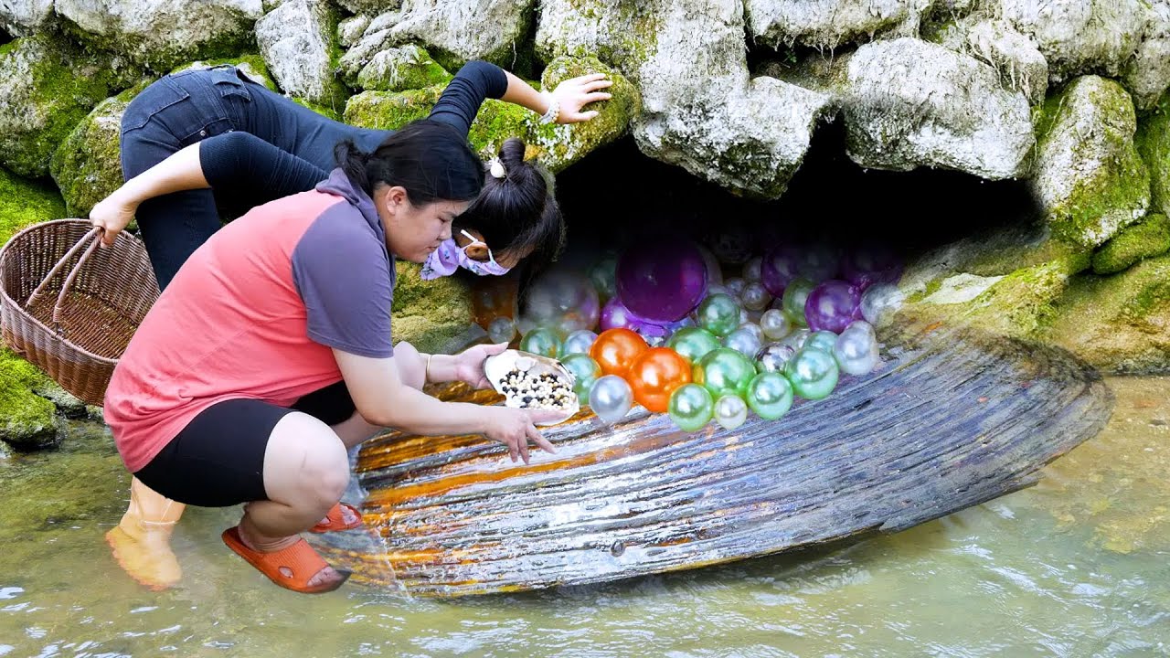 Giant clams, charming pearl trees, beautiful women harvest pearl treasures
