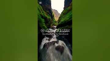 قل لمن الارض و من فيها سورة الأنبياء الآية 16