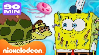 Bob Esponja | Cada Animal e Bicho de Estimação na Fenda do Biquíni! | 80 Minutos | Nickelodeon