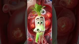 “Main mooli hoon… main tumhari body ko detox karti hoon! #nutrition #healthtips #shortvideo #shorts