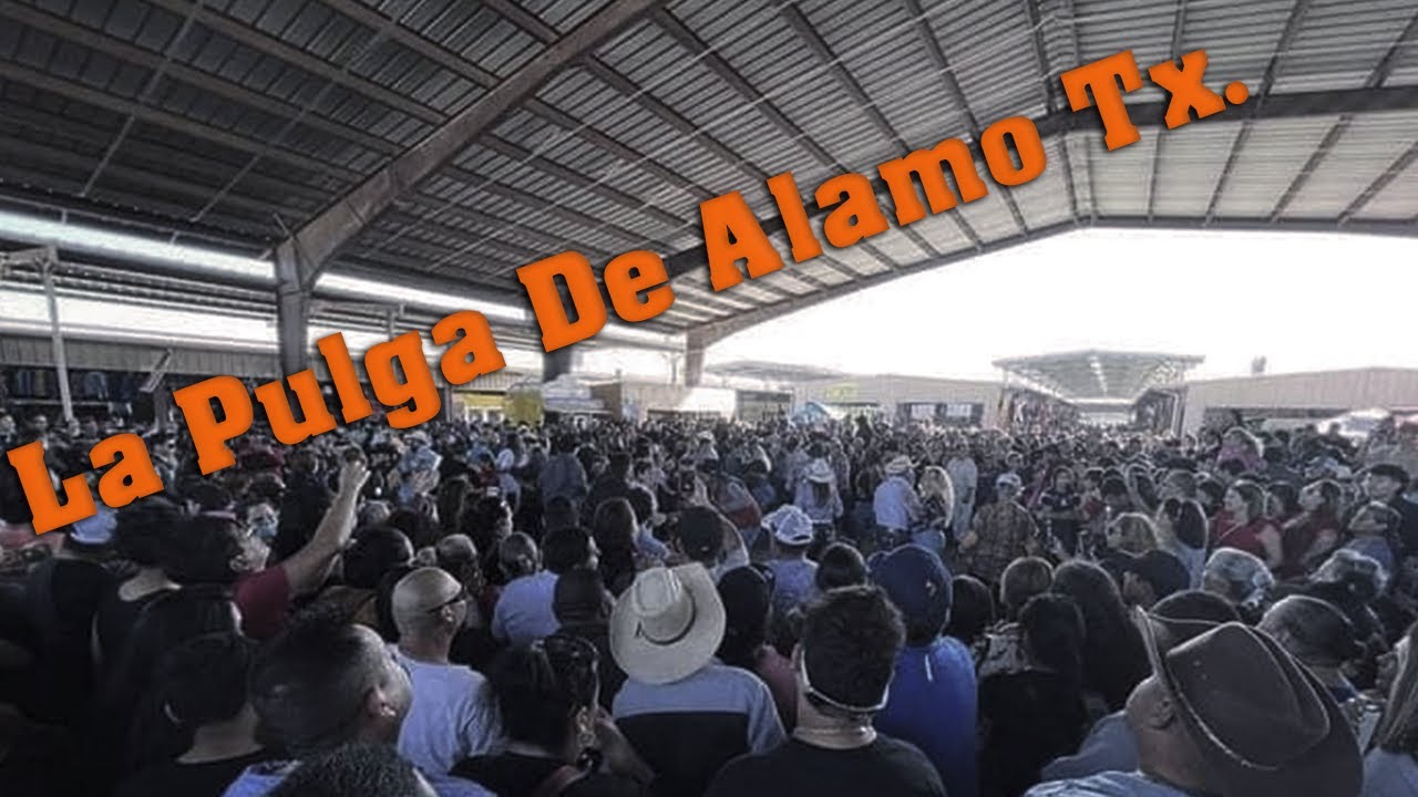 LA PULGA DE ALAMO TX. YouTube