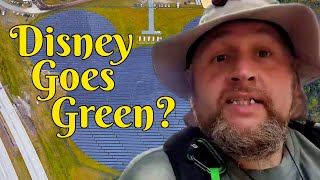 Solarpunk in the Most Capitalist place on Earth?