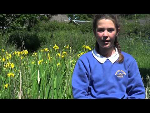 Great Gardening Challenge   final