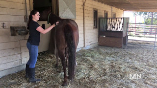 Cal Poly Foaling Enterprise
