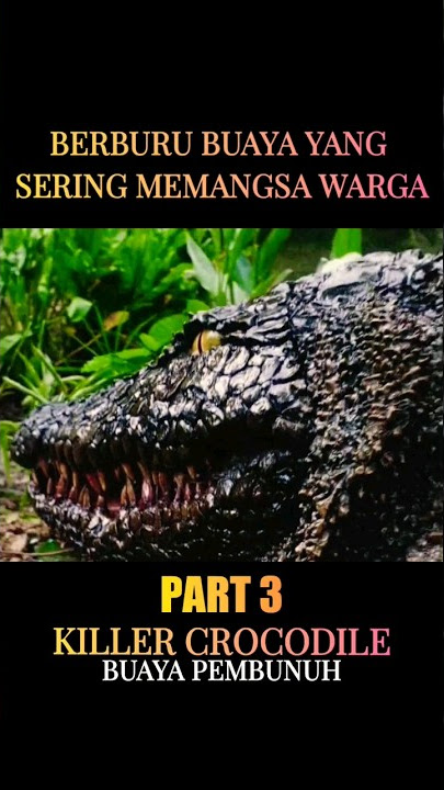 sightings of crocodiles that often prey on residents #shorts