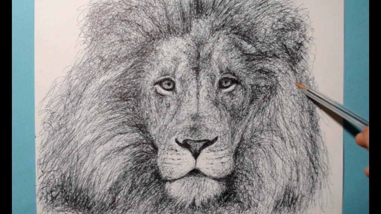 Details 84+ lion pen sketch best - seven.edu.vn
