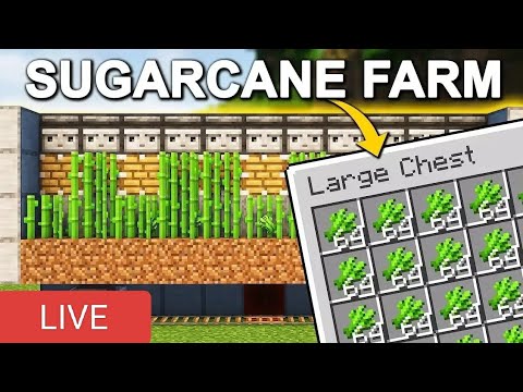 🔴 LIVE | MINECRAFT GAMEPLAY Shorts Live 🔥 DAY 4 - YouTube