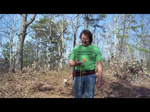 How to find your back bearing