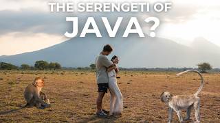 We Visited Baluran National Park: Hidden Gem in Indonesia