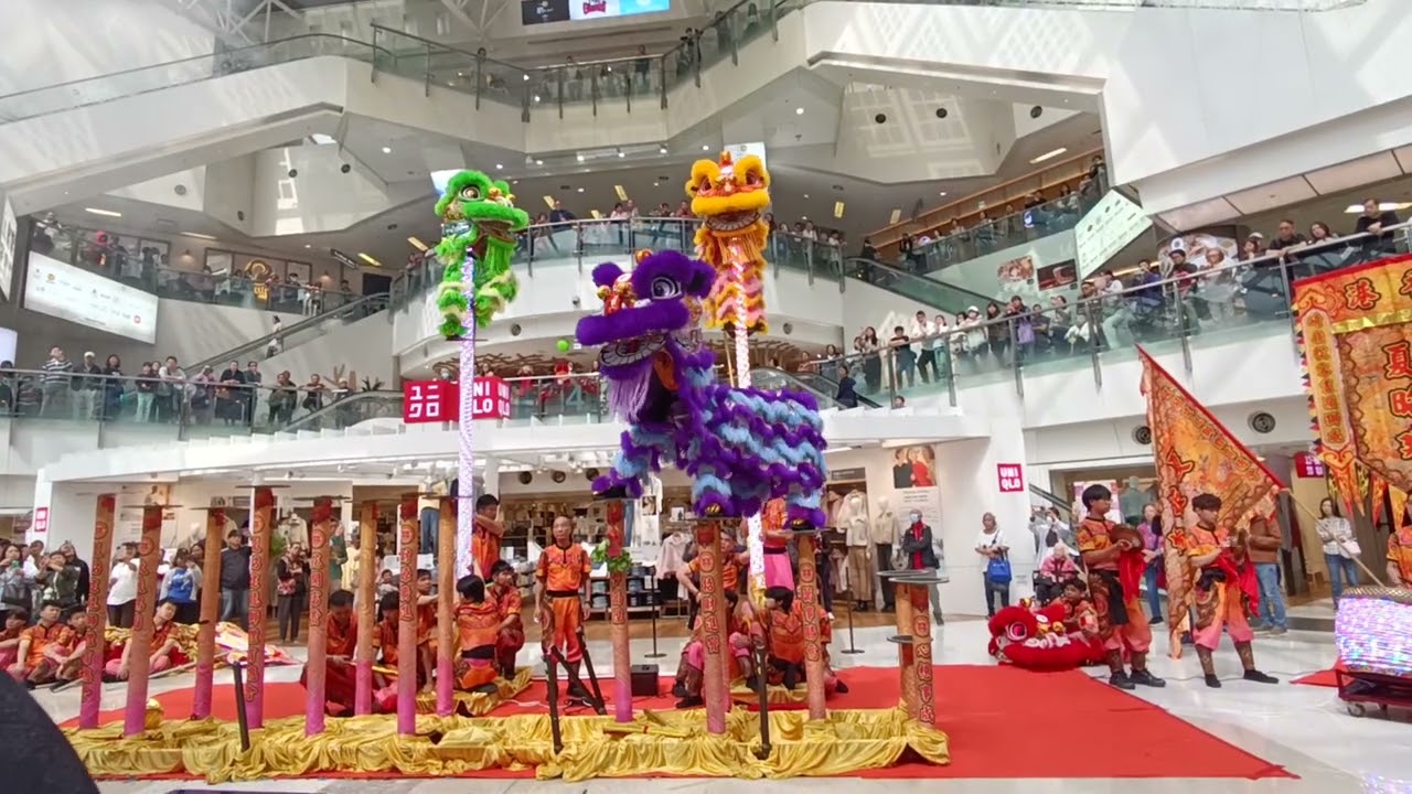 Lion dance in Hong Kong 💕 #chinesnewyear #video 