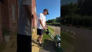 Dont Panic If Your Lawn Turns BROWN #lawn #lawncare