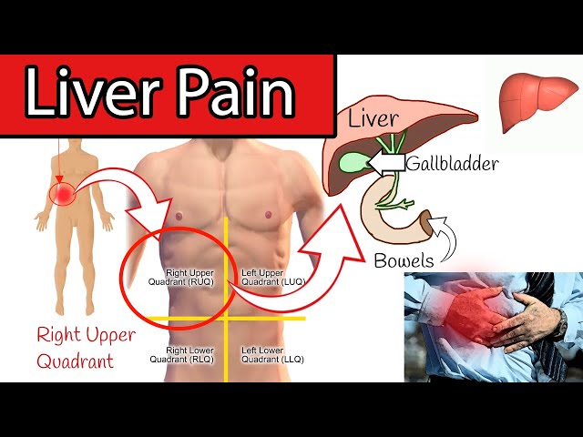 Liver Pain? - Right upper abdominal pain. Right upper quadrant pain class=