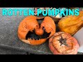 Smashing Our Rotten Pumpkins