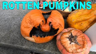 Smashing Our Rotten Pumpkins