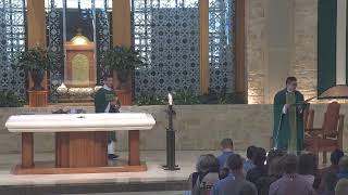 16th Sunday in Ordinary Time