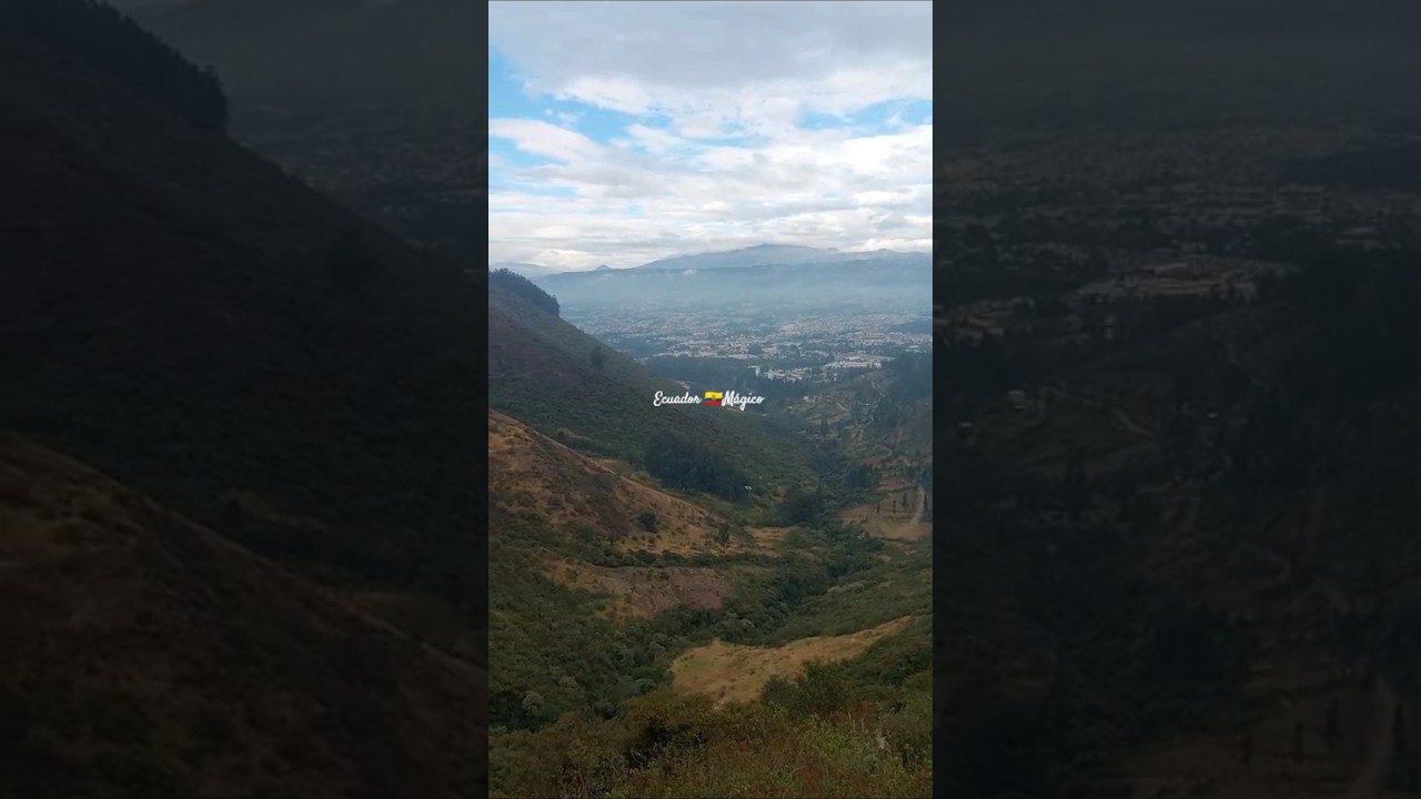 🌳🍂rodeate de la naturaleza 🍃 