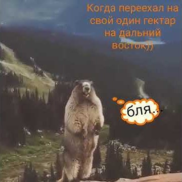 Смешной орущий суслик - YouTube