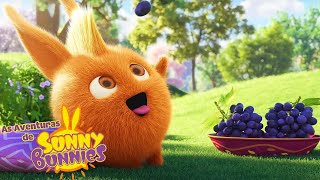 bagas doces | As Aventuras de Sunny Bunnies | Desenhos Animados Infantis screenshot 1
