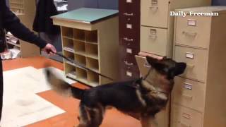 police Officer Jeremy Rushkoski and canine Miky demonstrate a search for explosives