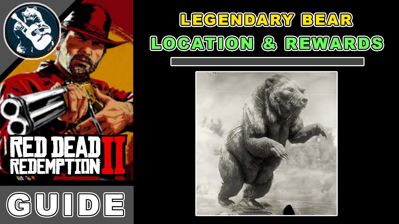 Legendary Bear RDR2 Legendary Animals Location & Rewards YouTube